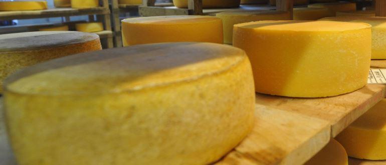 Hvordan lage ost hjemme - velg en god ostefabrikk